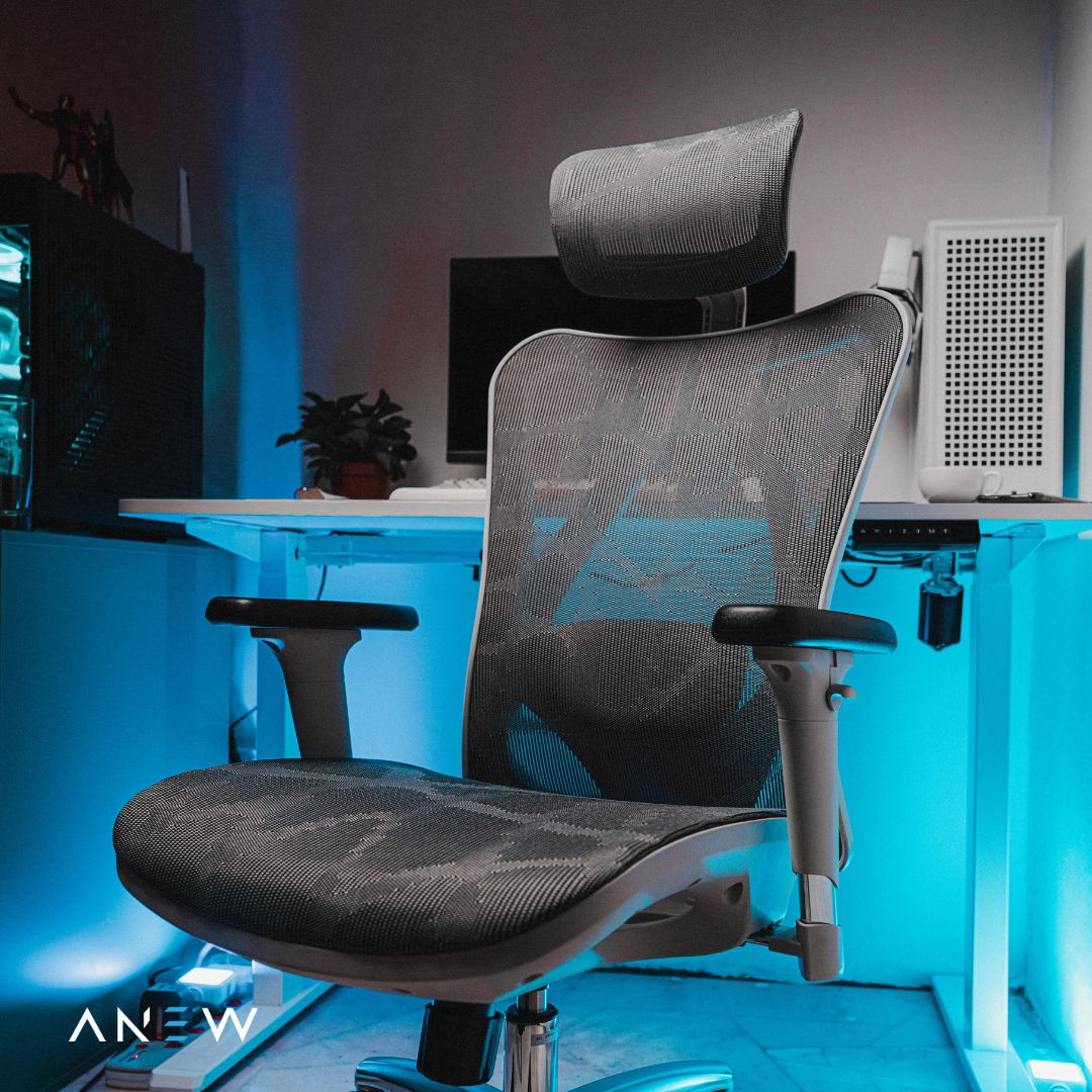 ANEW Standard Ergonomic Chair