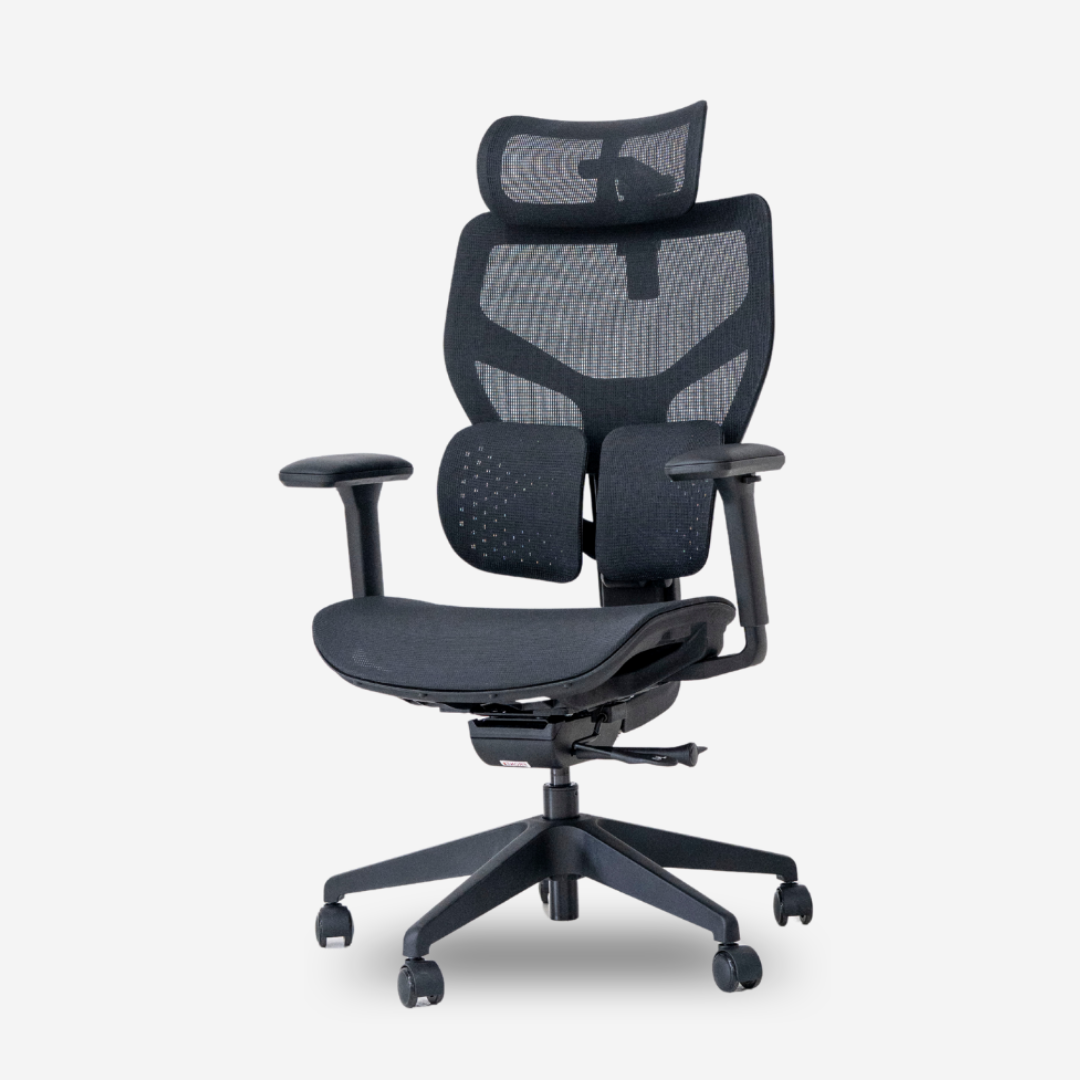 ANEW ACE Ergonomic Chair