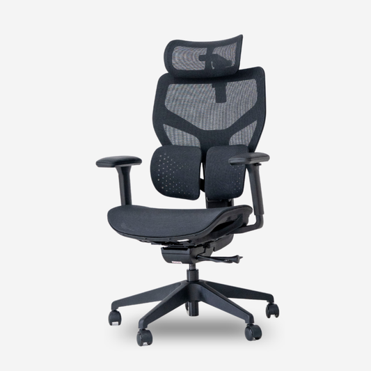 ANEW ACE Ergonomic Chair