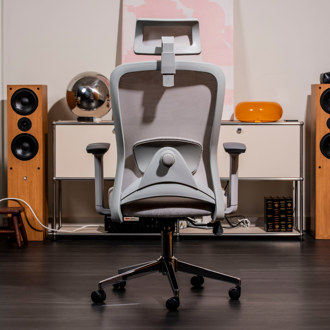 ANEW Stride Ergonomic Chair Pro