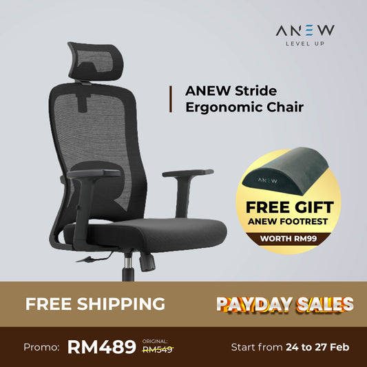 ANEW Stride Ergonomic Chair