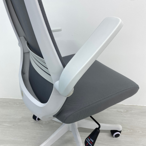ARISE Ergonomic Chair