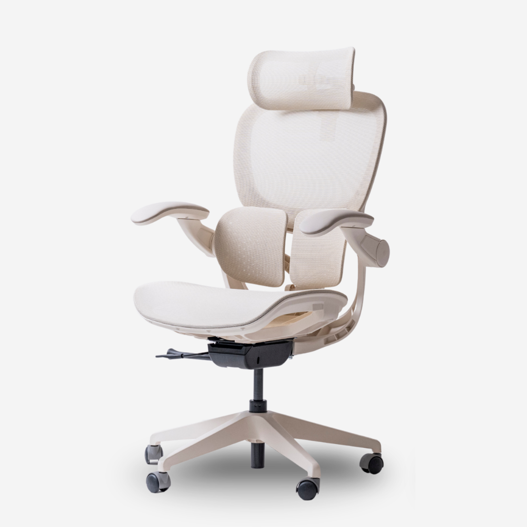 ANEW ARISE Ergonomic Chair