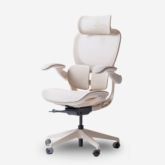 ANEW ARISE Ergonomic Chair