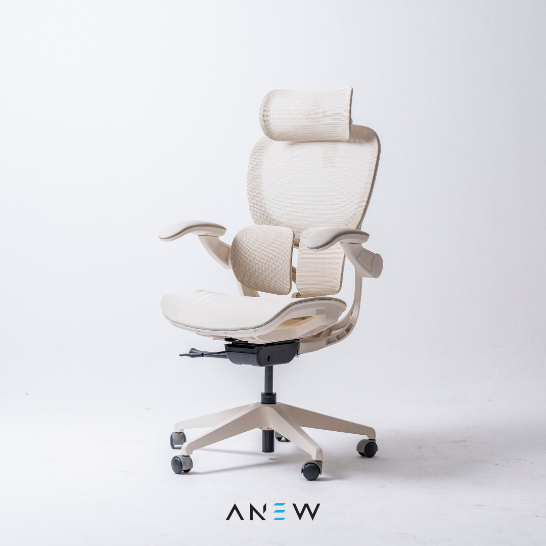[NEW LAUNCH] ANEW ARISE Ergonomic Chair