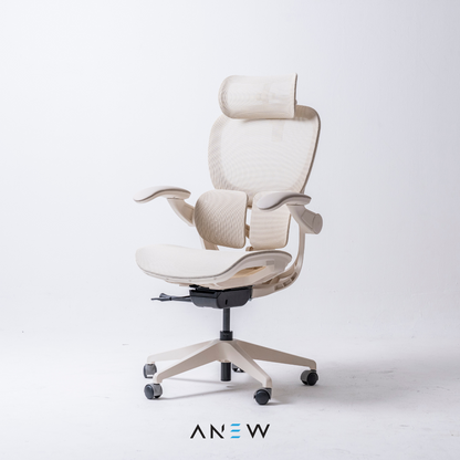 [NEW LAUNCH] ANEW ARISE Ergonomic Chair