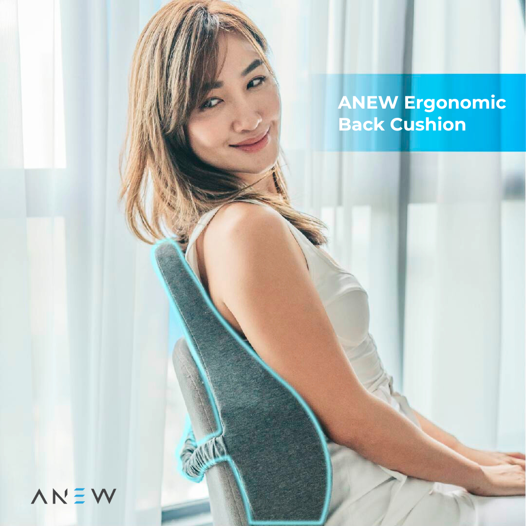 ANEW Ergonomic Back Cushion (Must Have)