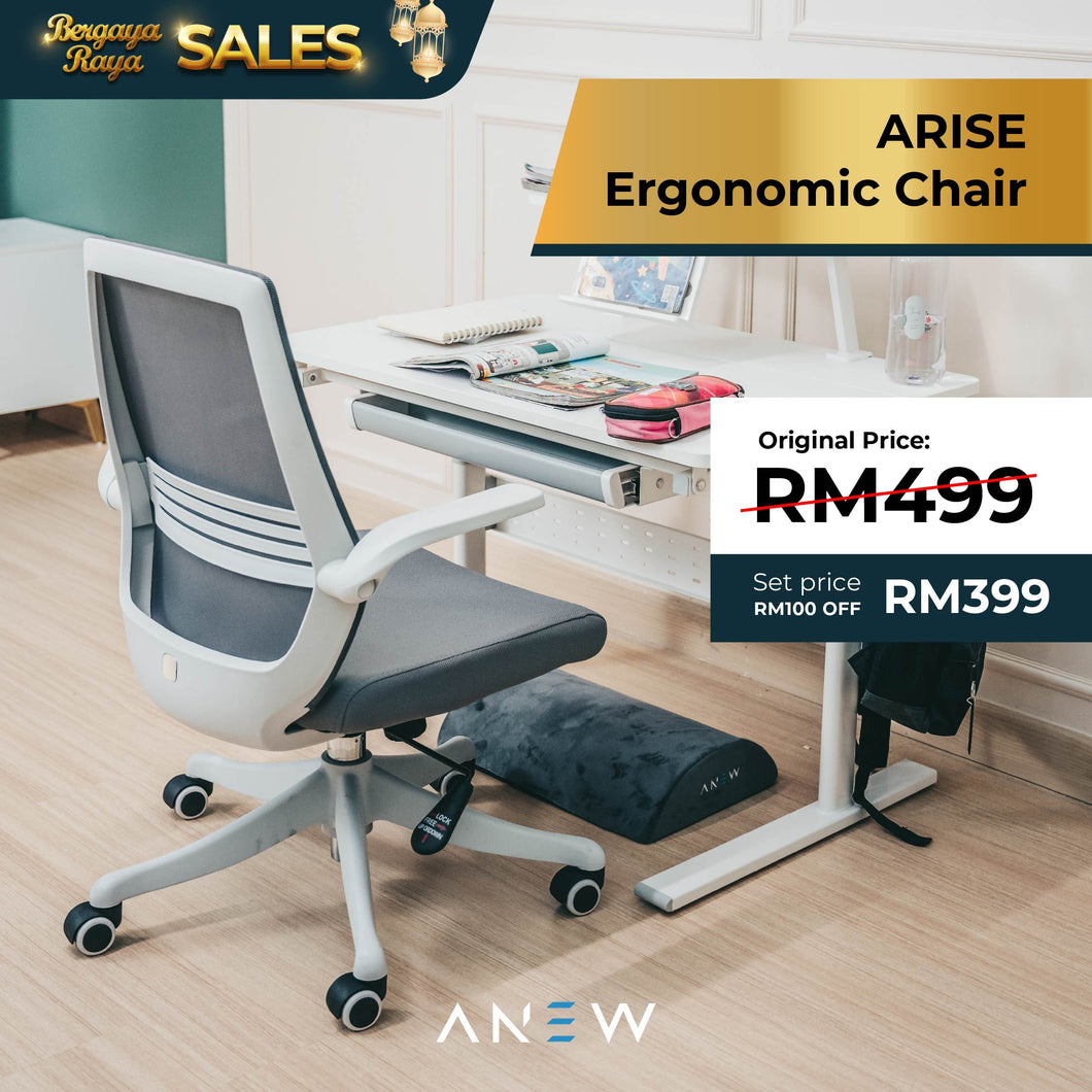 ARISE Ergonomic Chair