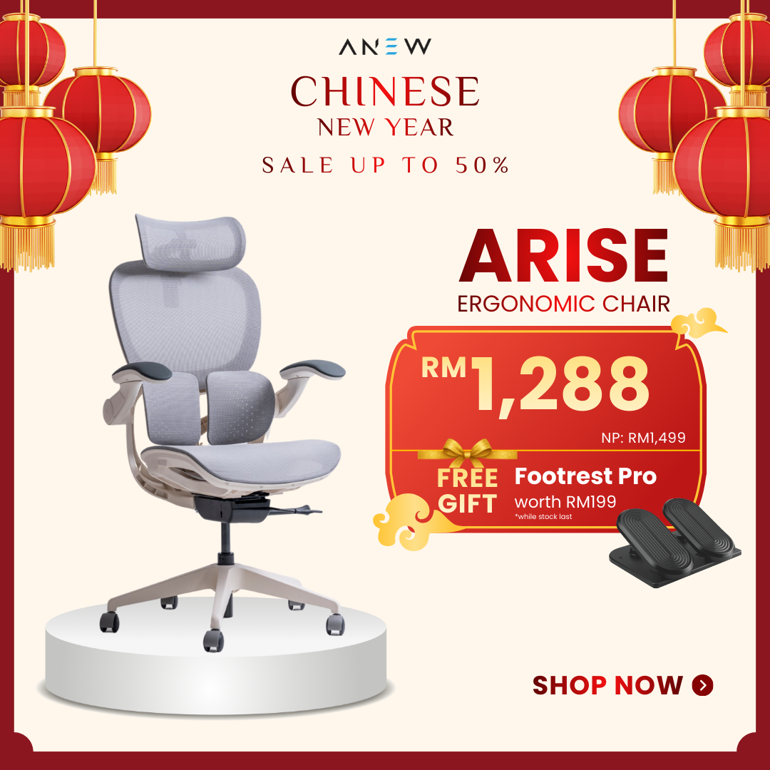 ANEW ARISE Ergonomic Chair
