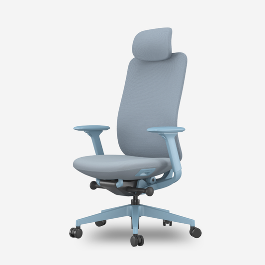 ANEW Inspire Ergonomic Chair