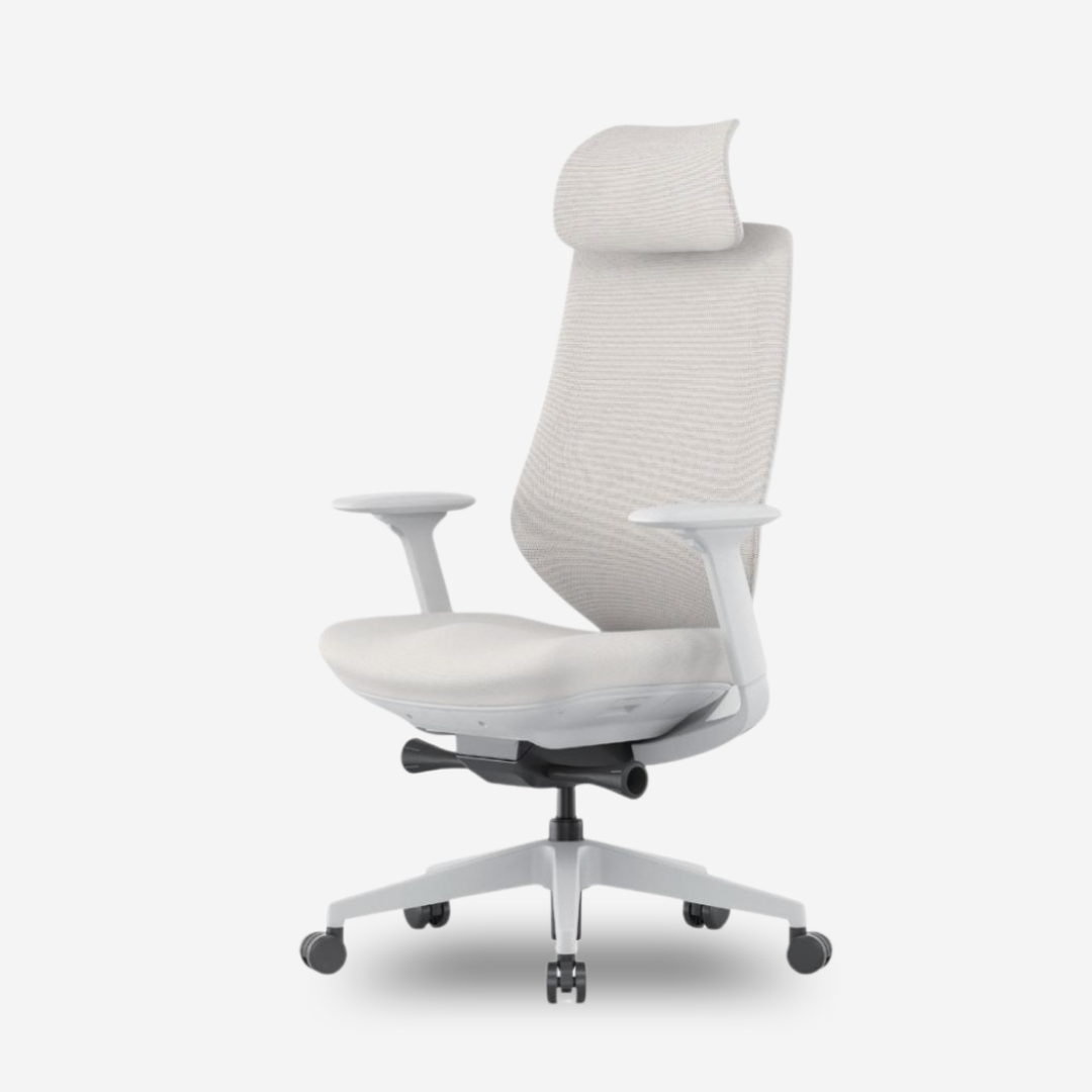 ANEW Spark Ergonomic Chair