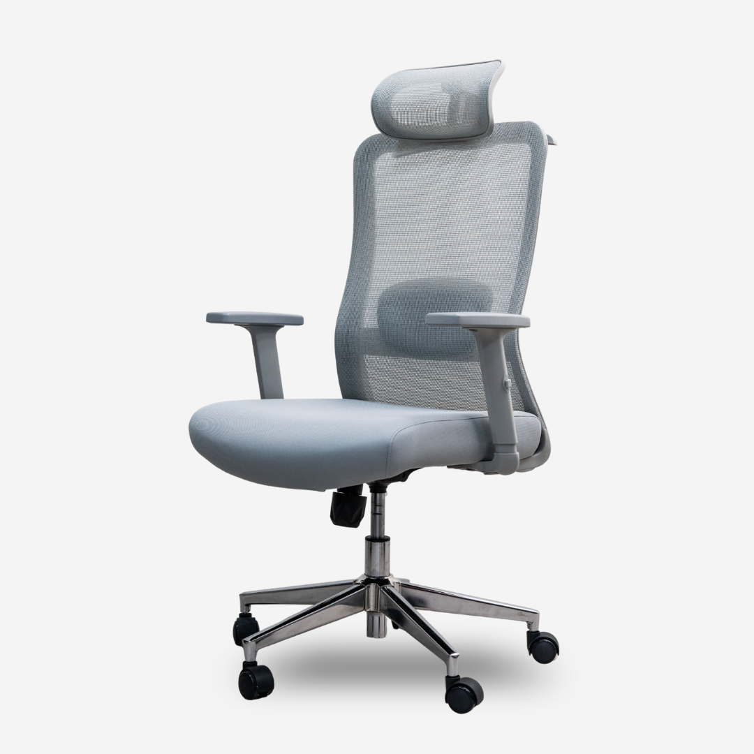ANEW Stride Ergonomic Chair Pro