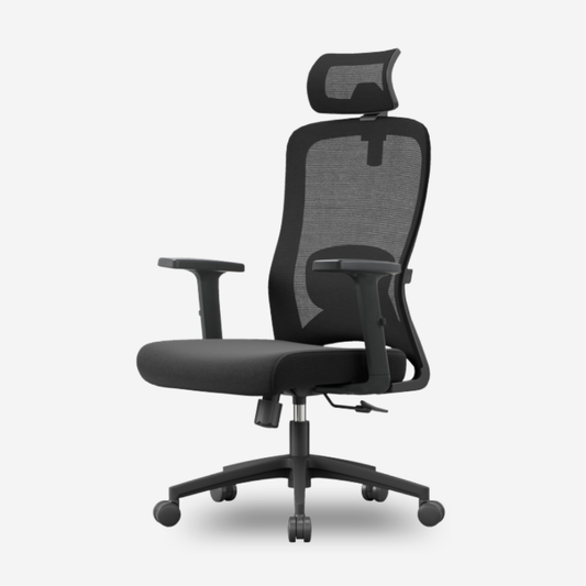 ANEW Stride Ergonomic Chair