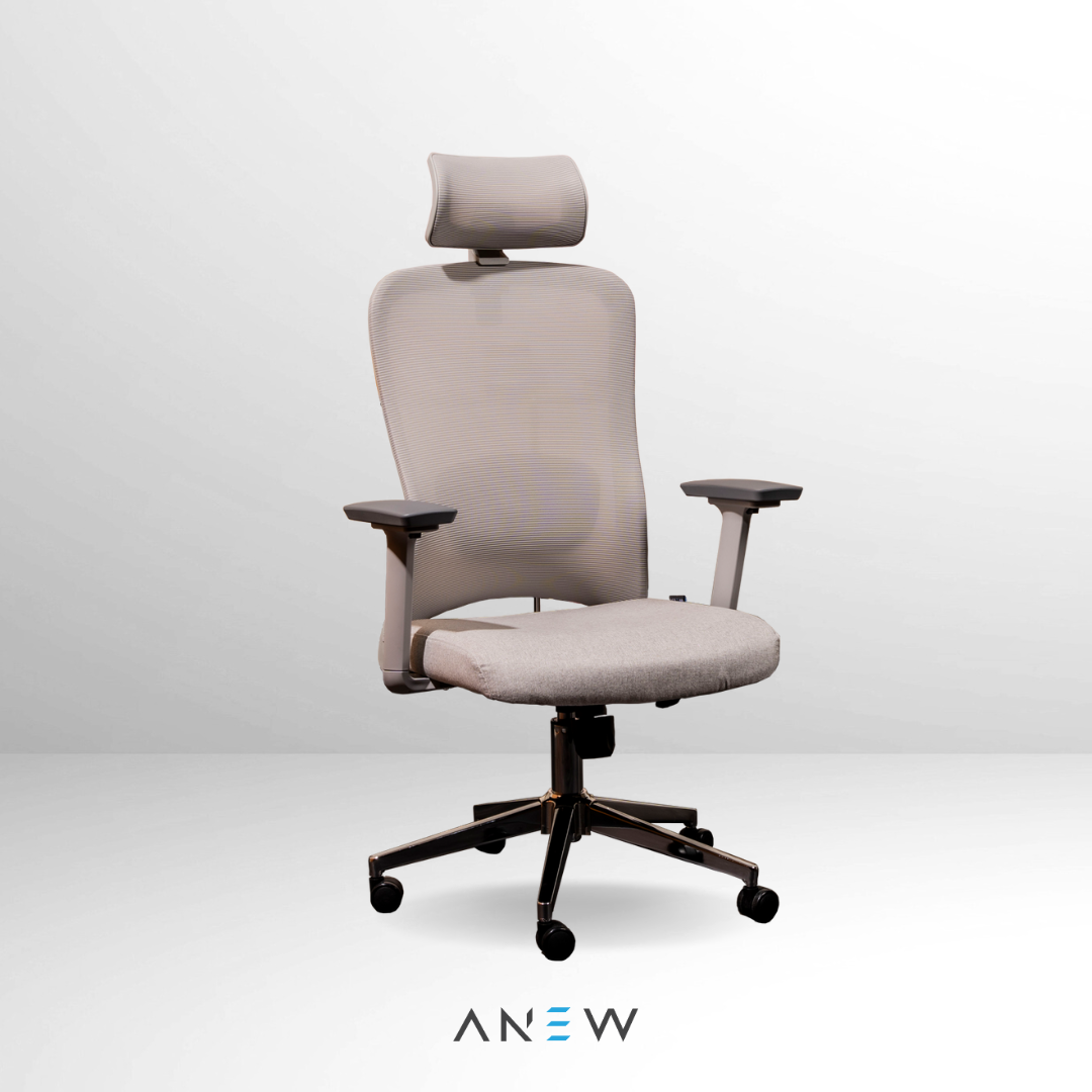 ANEW Stride Ergonomic Chair Pro