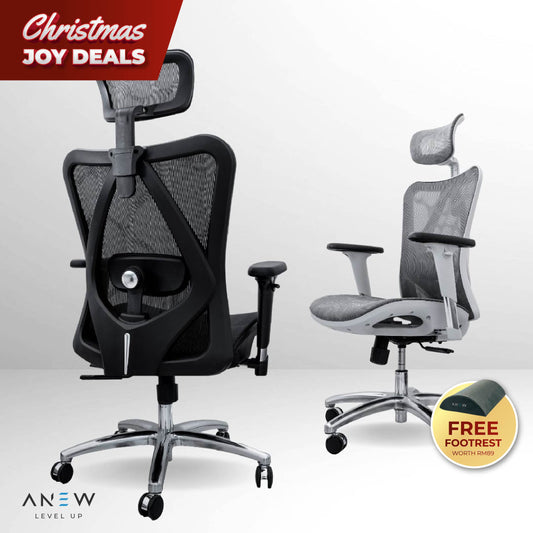 ANEW Standard Ergonomic Chair