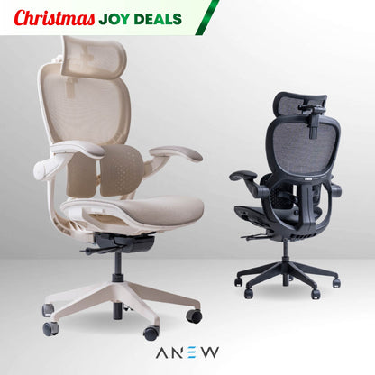 ANEW ARISE Ergonomic Chair