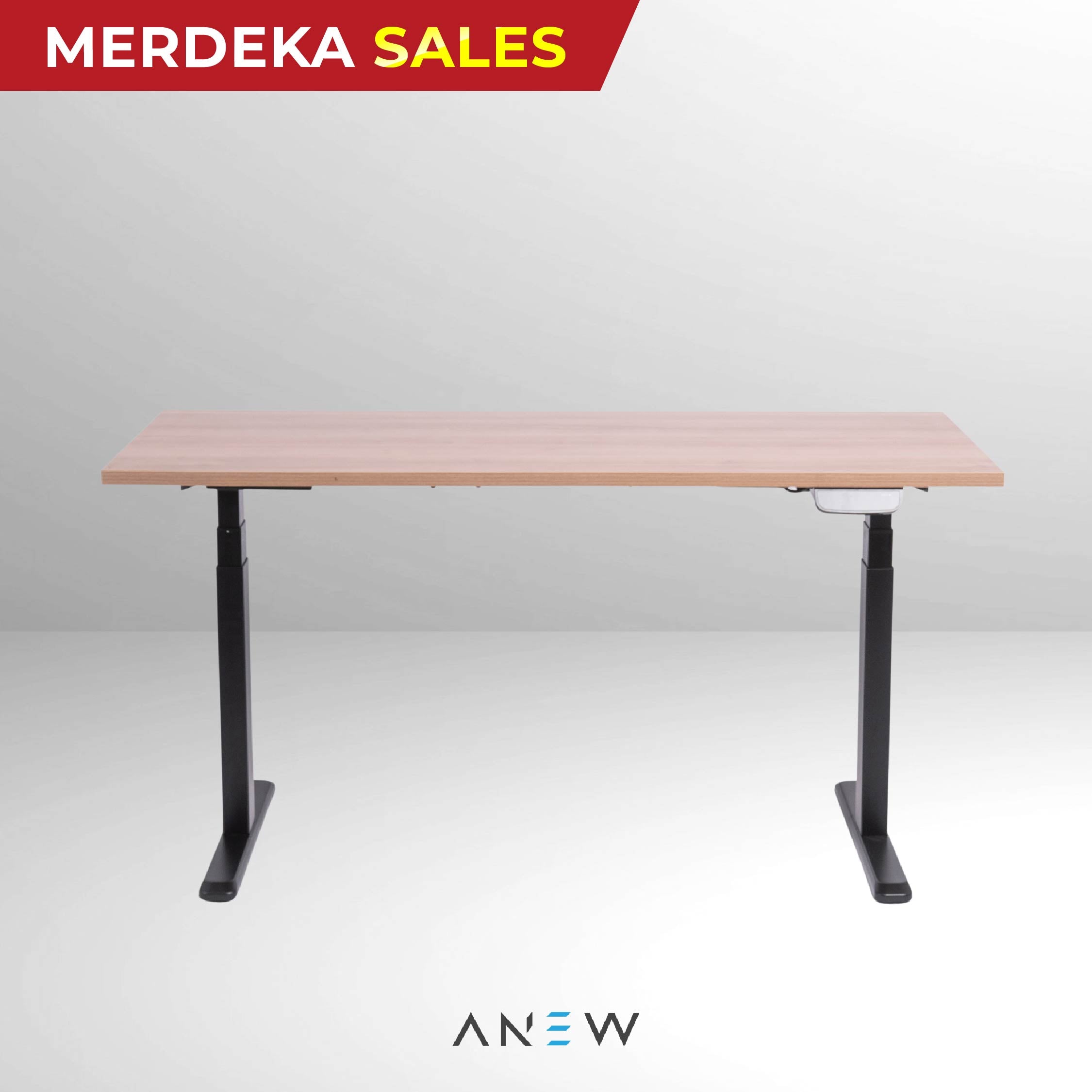 ANEW Smart Desk Pro
