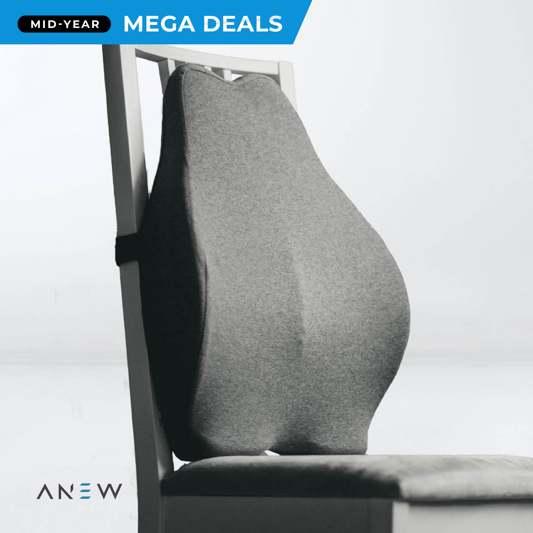 ANEW Ergonomic Back Cushion