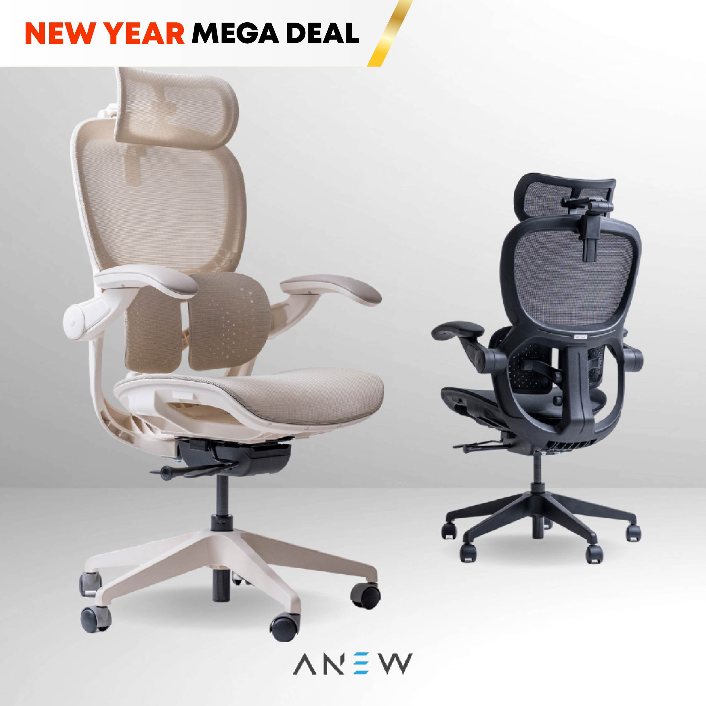 ANEW ARISE Ergonomic Chair
