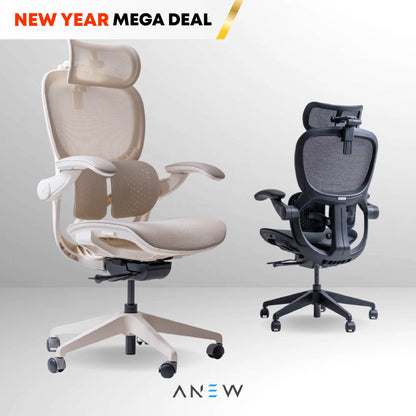 ANEW ARISE Ergonomic Chair