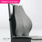 ANEW Ergonomic Back Cushion