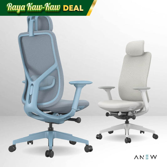 ANEW Inspire Ergonomic Chair