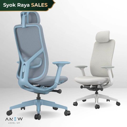 ANEW Inspire Ergonomic Chair