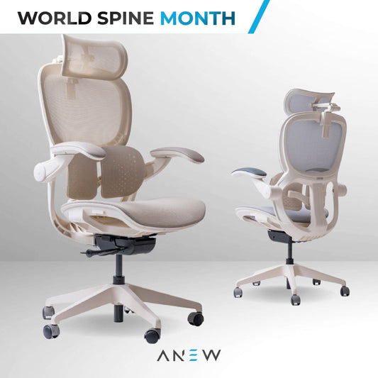[NEW LAUNCH] ANEW ARISE Ergonomic Chair