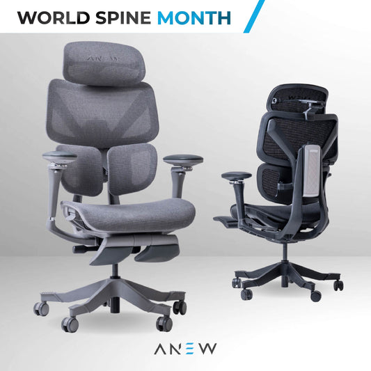 [NEW LAUNCH] ANEW AXIS Ergonomic Chair