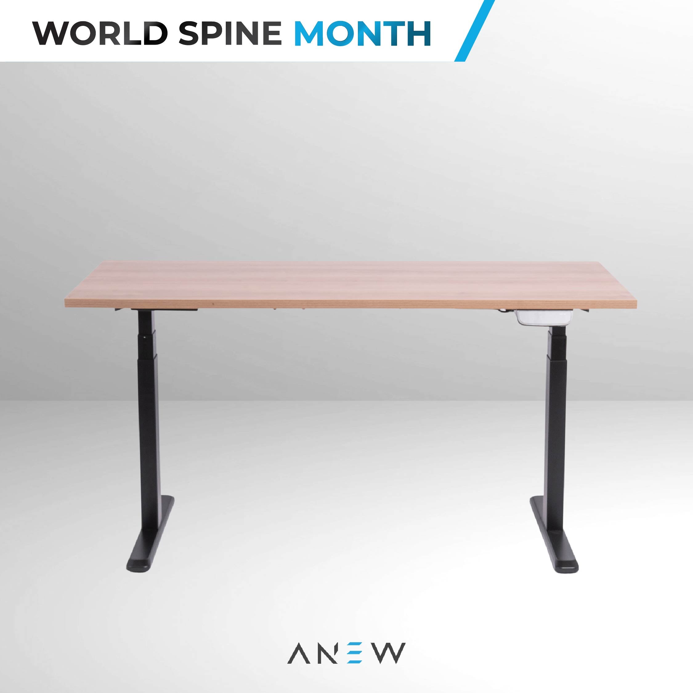 ANEW Smart Desk Pro