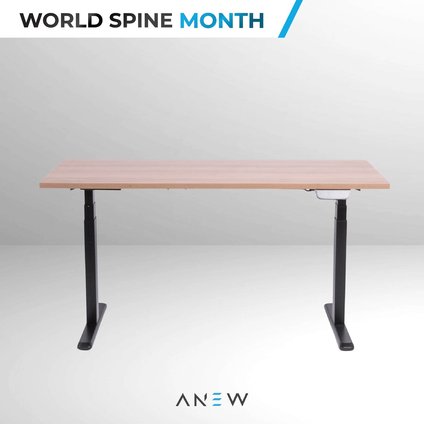 ANEW Smart Desk Pro