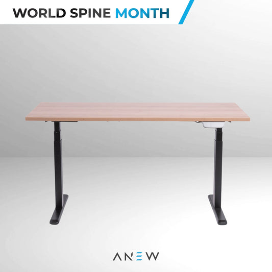 ANEW Smart Desk Pro