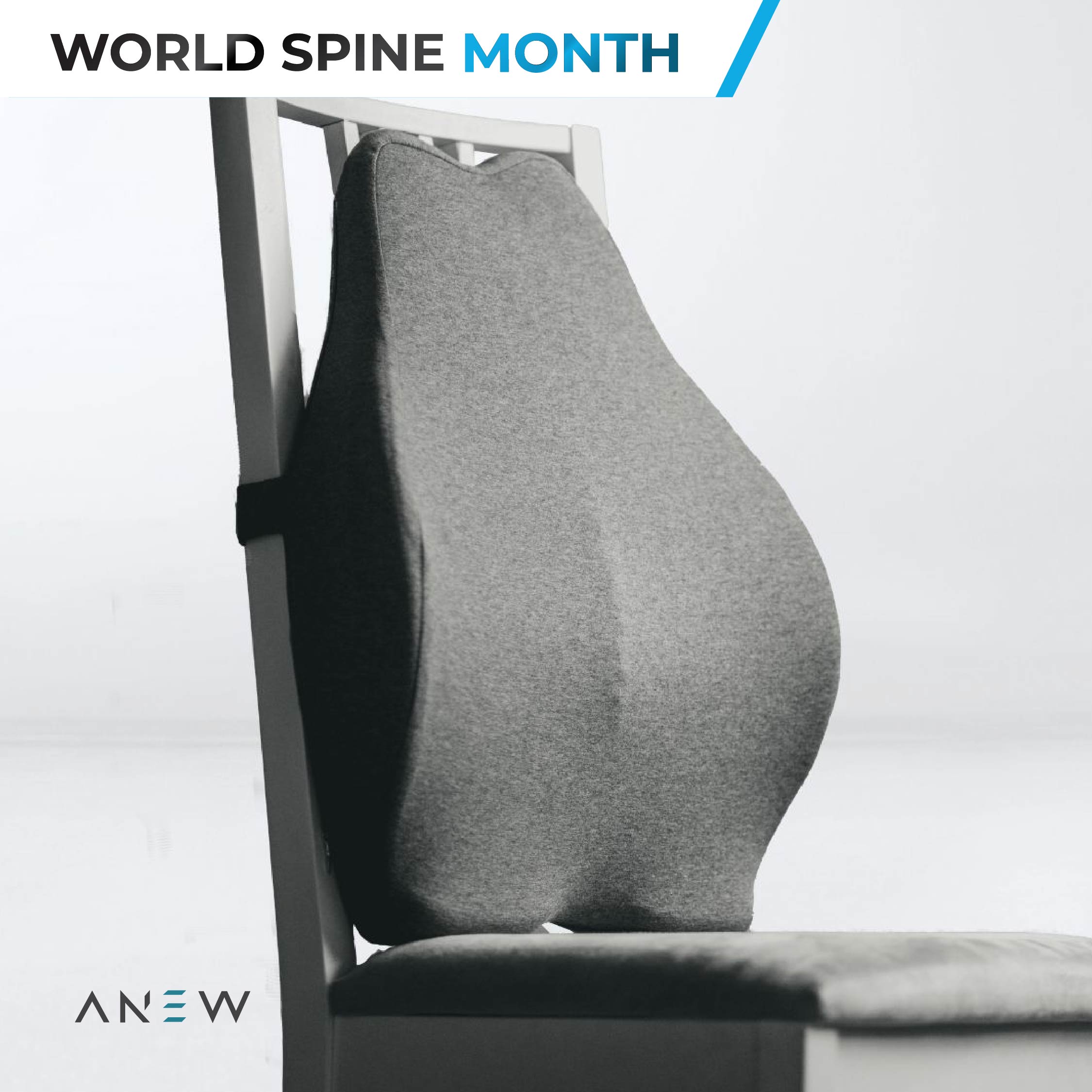 ANEW Ergonomic Back Cushion