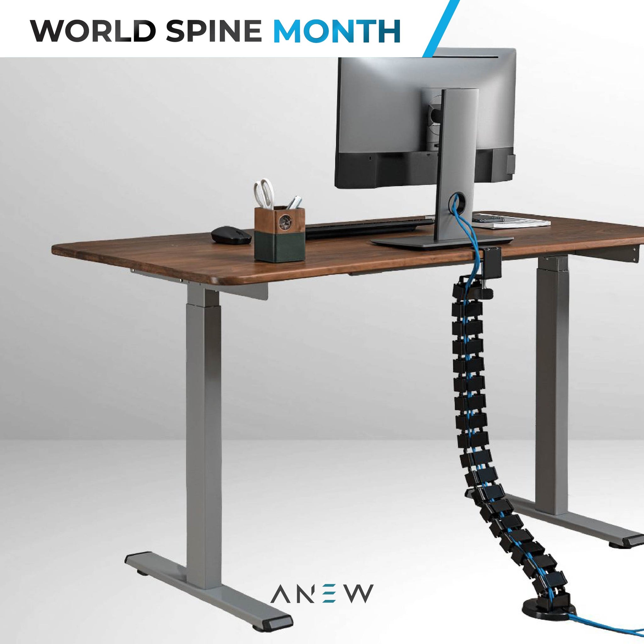 ANEW Cable Management Spine