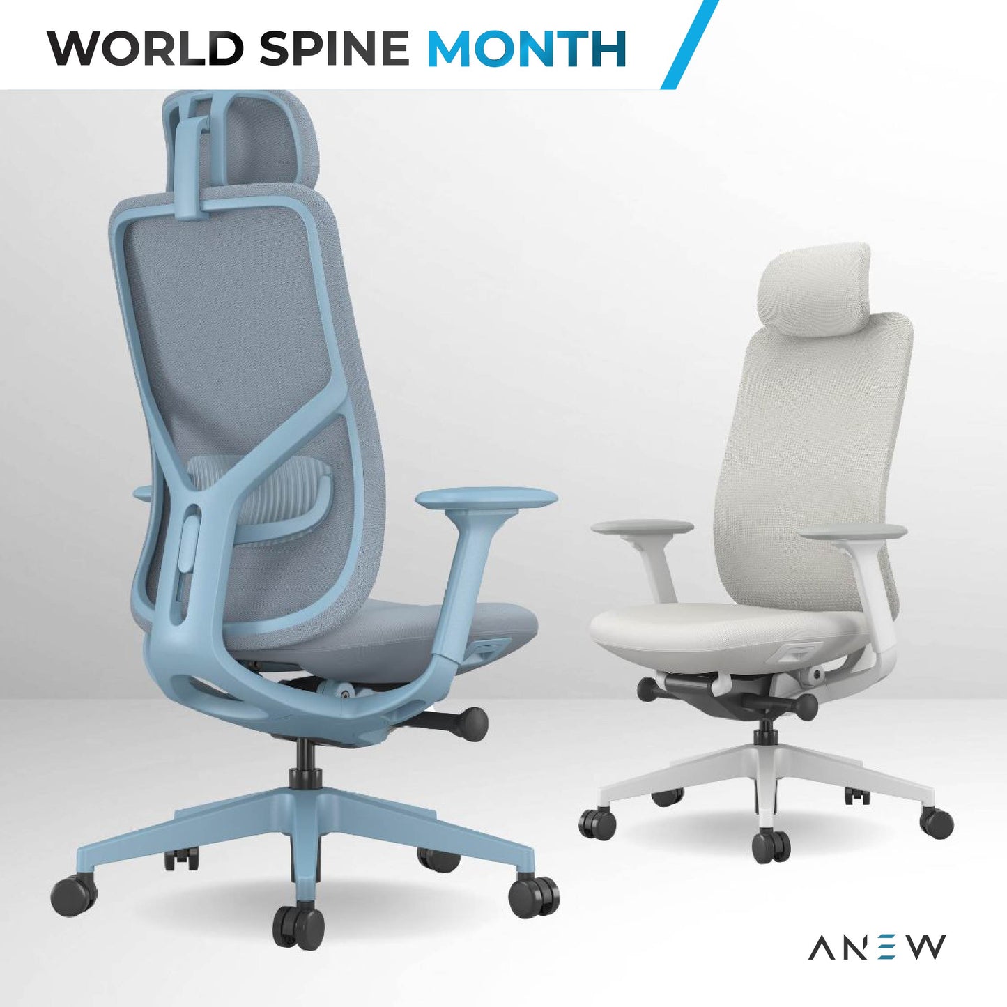 ANEW Inspire Ergonomic Chair