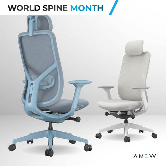 ANEW Inspire Ergonomic Chair