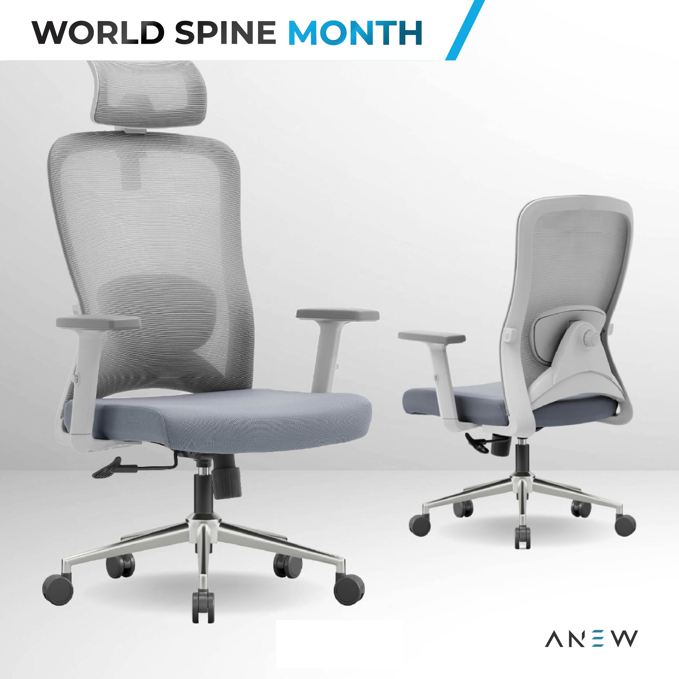 ANEW Stride Ergonomic Chair Pro