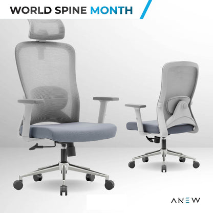 ANEW Stride Ergonomic Chair Pro