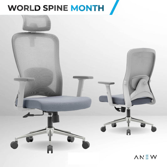 ANEW Stride Ergonomic Chair Pro