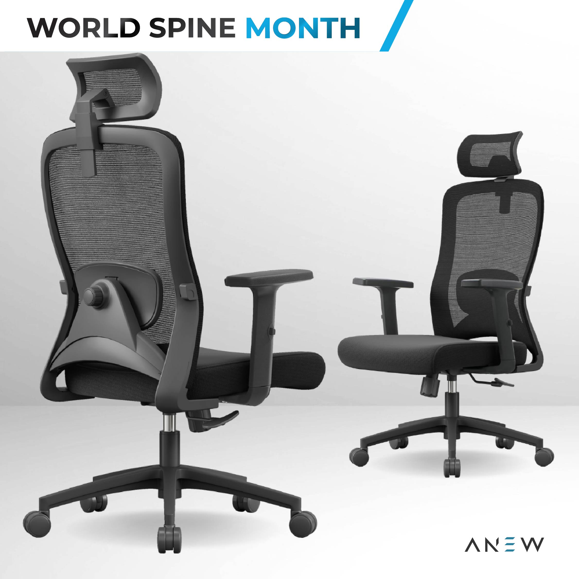 ANEW Stride Ergonomic Chair