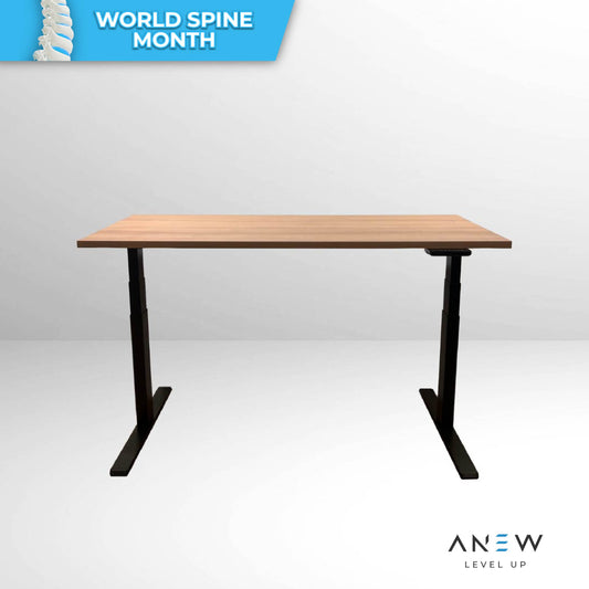 ANEW Smart Desk Pro