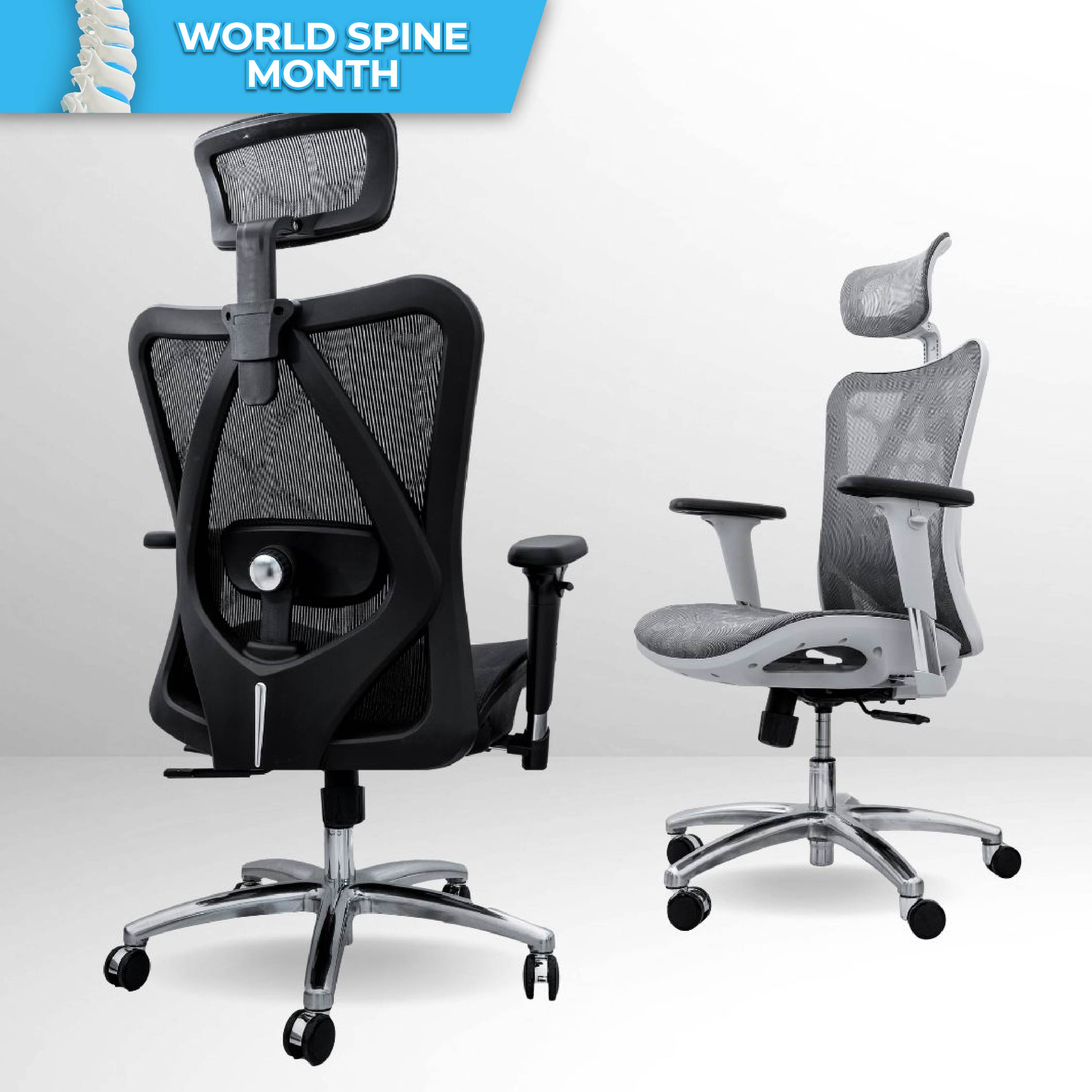 ANEW Standard Ergonomic Chair