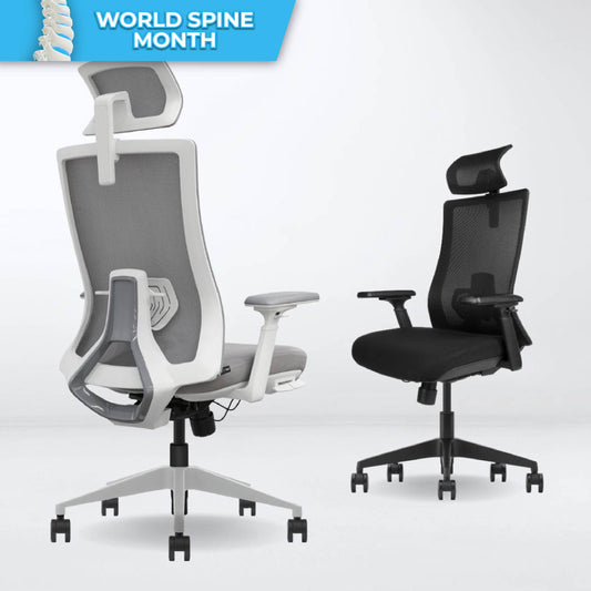 [PRE-ORDER] ANEW Kinetic Ergonomic Chair