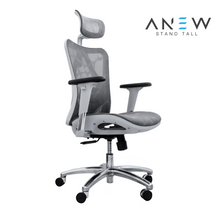 Load image into Gallery viewer, ANEW Standard Ergonomic Chair
